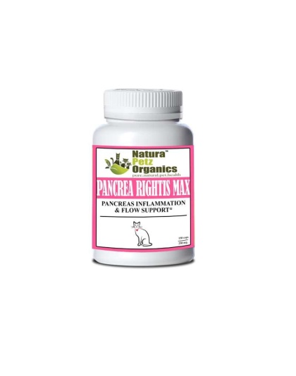 Pancrea Rightis Max Support* Capsules Pancreas Inflammation & Flow Support Dogs Cats* - CAT - 150 caps / 250 mg