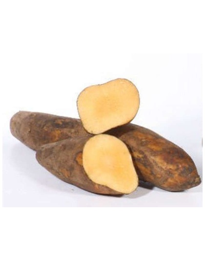 Yacon Leaf - Antioxidant Pancreatic Support* Glycemic & Glucose Support* The Petz Kitchen - Organic Human Grade Ingredients For Home Prepared Meals & Treats - 4 Oz