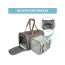 Platinum Gray - Mr. Peanut's Gold Series Big Apple Size Expandable Pet Carrier -