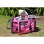 Rosa - Mr. Peanut's Gold Series Pet Carrier - 18 in L x 10.5 in W x 11 in H