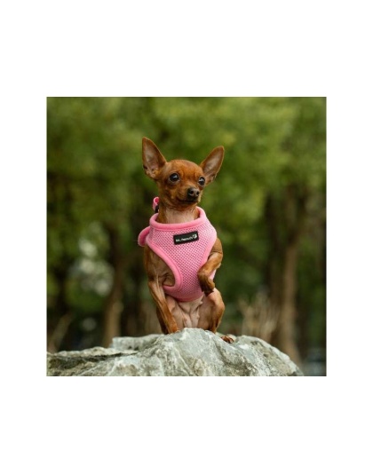Pink - Mr. Peanut's PupTrek Small Dog/Cat Soft Mesh Step In Harness Vest - XSmall