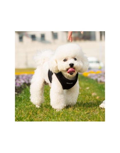 Black - Mr. Peanut's PupTrek Small Dog/Cat Soft Mesh Step In Harness Vest - Small