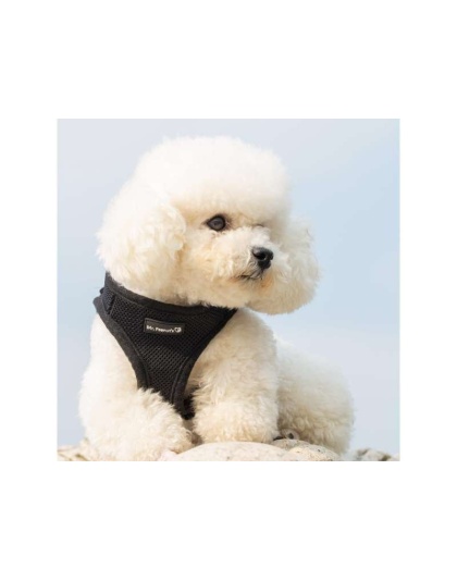 Black - Mr. Peanut's PupTrek Small Dog/Cat Soft Mesh Step In Harness Vest - Small