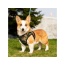 Camo - Mr. Peanut's PupTrek Small Dog/Cat Soft Mesh Step In Harness Vest - Small