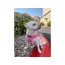 Pink - Mr. Peanut's PupTrek Small Dog/Cat Soft Mesh Step In Harness Vest - Medium