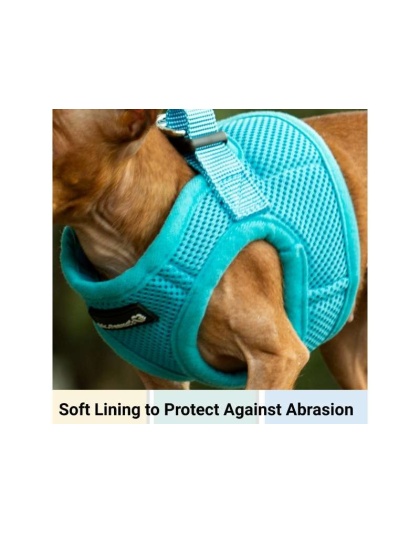 Blue - Mr. Peanut's PupTrek Small Dog/Cat Soft Mesh Step In Harness Vest - XLarge