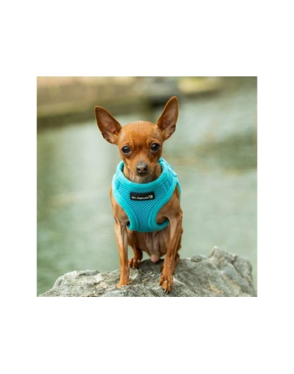 Blue - Mr. Peanut's PupTrek Small Dog/Cat Soft Mesh Step In Harness Vest - XLarge