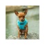 Blue - Mr. Peanut's PupTrek Small Dog/Cat Soft Mesh Step In Harness Vest - XLarge