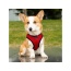 Red - Mr. Peanut's PupTrek Small Dog/Cat Soft Mesh Step In Harness Vest - XLarge