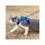 Blue - Mr. Peanut's PurrTrek Reflective Cat Harness with Matching Leash - X Small