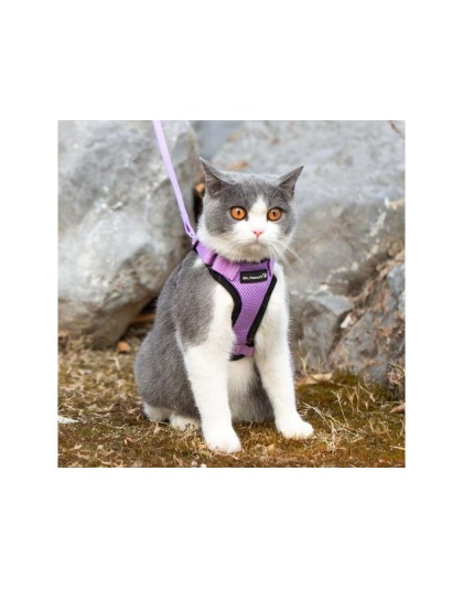 Lilac - Mr. Peanut's PurrTrek Reflective Cat Harness with Matching Leash - X Small