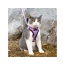 Lilac - Mr. Peanut's PurrTrek Reflective Cat Harness with Matching Leash - X Small