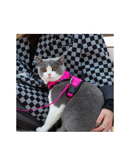 Pink - Mr. Peanut's PurrTrek Reflective Cat Harness with Matching Leash - X Small