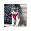 Pink - Mr. Peanut's PurrTrek Reflective Cat Harness with Matching Leash - X Small