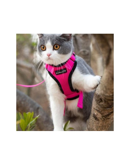Pink - Mr. Peanut's PurrTrek Reflective Cat Harness with Matching Leash - X Small