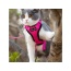 Pink - Mr. Peanut's PurrTrek Reflective Cat Harness with Matching Leash - X Small