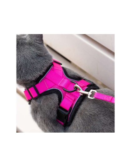 Pink - Mr. Peanut's PurrTrek Reflective Cat Harness with Matching Leash - X Small