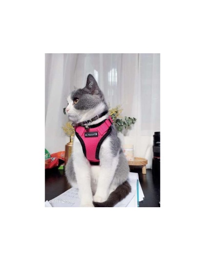 Pink - Mr. Peanut's PurrTrek Reflective Cat Harness with Matching Leash - X Small
