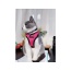 Pink - Mr. Peanut's PurrTrek Reflective Cat Harness with Matching Leash - X Small
