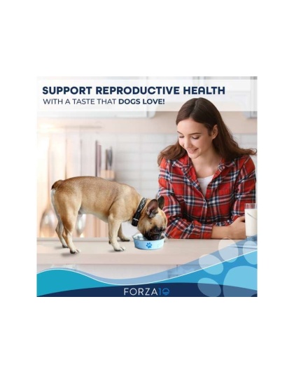 Forza10 Active Reproductive Male Diet Dry Dog Food - 18-lb bag