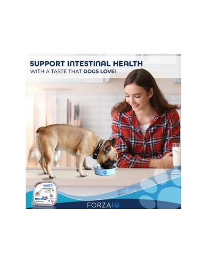 Forza10 Actiwet Intestinal Support Icelandic Fish Recipe Canned Dog Food - 3.5-oz