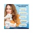 Forza10 Actiwet Renal Support Canned Cat Food - 3.5-oz