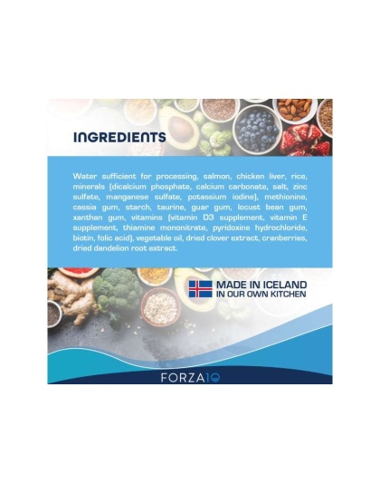 Forza10 Actiwet Urinary Support Icelandic Fish Recipe Canned Cat Food - 3.5-oz