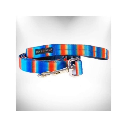 Blue/Orange - Tie Dye Dog Leads  - REGULAR Lead 1" width- 5' length