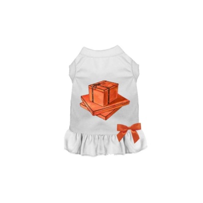 WHITE - My Favorite Color Orange - 2X Large