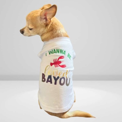 Just Want to Be Loved BAYOU- Dog Shirt - Large