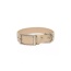 Champagne Fizz Vegan Leather Dog Collar - 13 - 15 inch