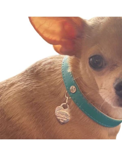 Return to Sniffany Charm Necklace - 18"