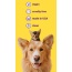 London Broil Flavor - Professional Pet Toothpaste  - Small