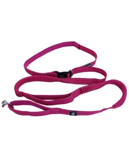 Cascades Plum Boysenberry Stretchable Runner Dog Leash - 6 to 10 feet when stretched.