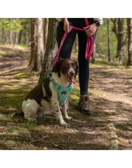 Cascades Plum Boysenberry Stretchable Runner Dog Leash - 6 to 10 feet when stretched.