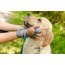Tidal Pattern Flat Dog Leash - Small 5/8in. wide by 6ft. long