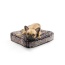 Frosted Willow - Rectangle Bed  MD -Frosted Willow - MD - 32" x 36"
