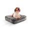 Midnight Frost - Rectangle Bed MD - Midnight Frost - MD - 32" x 36"