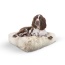 Blondie - Rectangle Bed LG - Blondie - LG - 46" x 35"