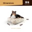 Blondie - Rectangle Bed SM - Blondie - SM- 24" x 24"