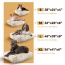 Blondie - Rectangle Bed  XL - Blondie - XL - 56" x 41"