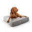 Frosted Snow - Rectangle Bed LG - Frosted Snow - LG - 46" x 35"
