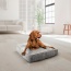 Frosted Snow - Rectangle Bed LG - Frosted Snow - LG - 46" x 35"