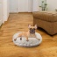Blondie - Bagel Bed SM - Blondie - SM - 30"